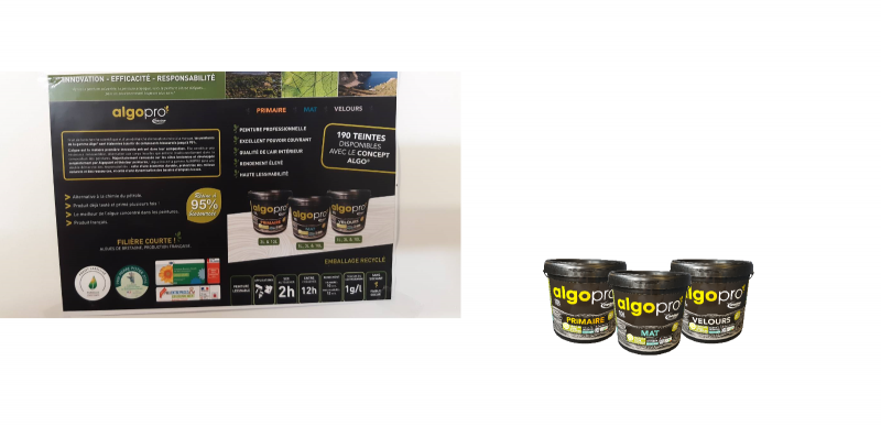 Peinture  bio aubagne Marseille