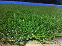 gazon pour terrain de sport